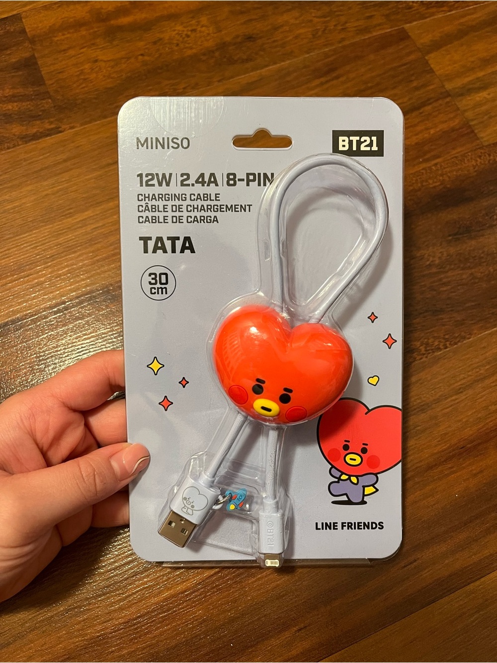NWT TATA BT21 Line Friends Miniso 30 cm Charging Cable